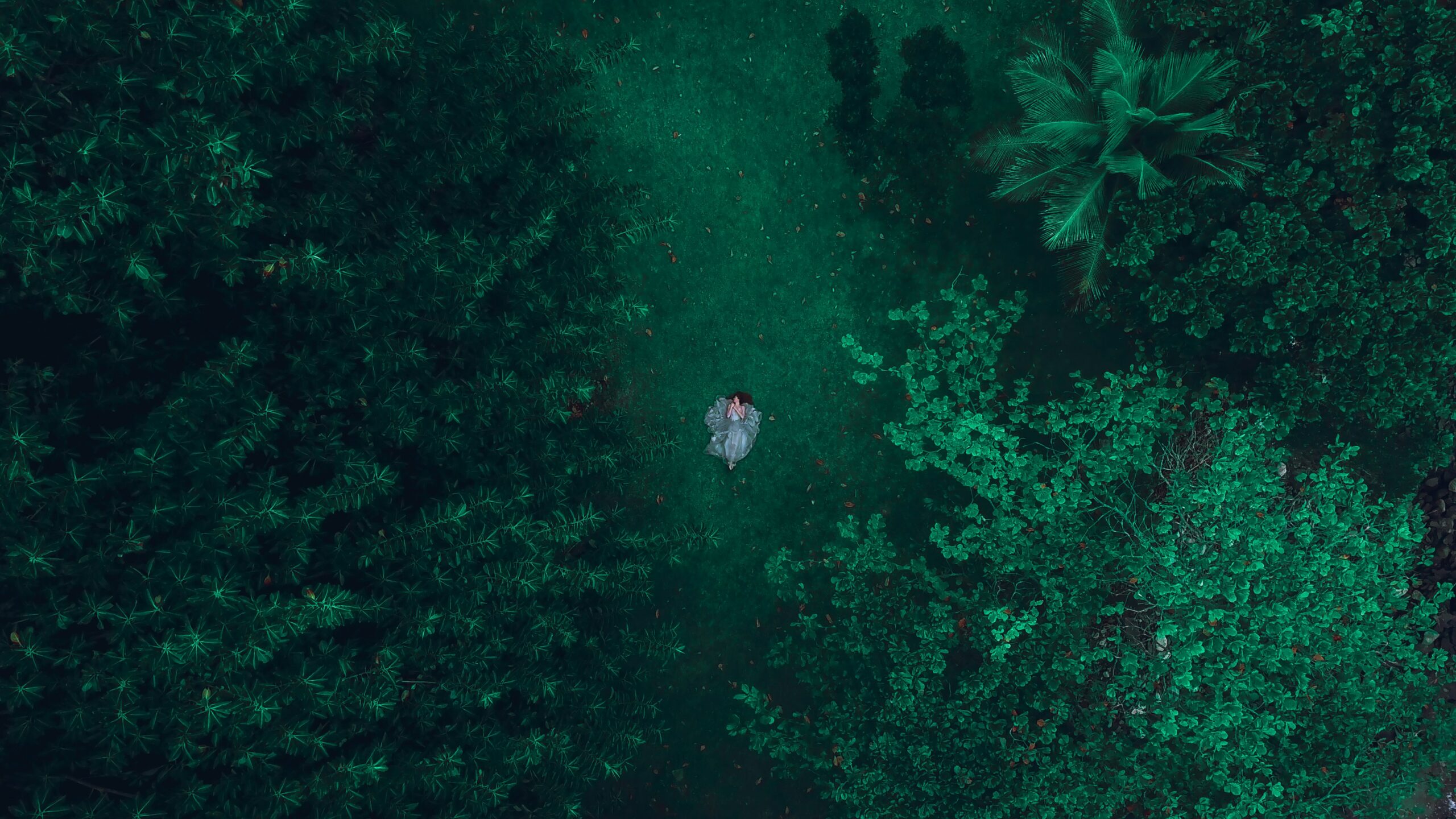A person in light clothing lies on green grass, surrounded by dense green trees, viewed from above, evoking tranquility and a sense of curiosity-driven self discovery immersed in nature.